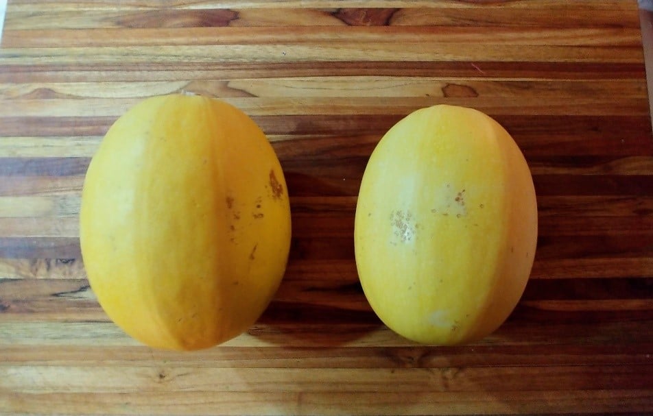 Rethinking Spaghetti Squash   Spaghetti Squash 